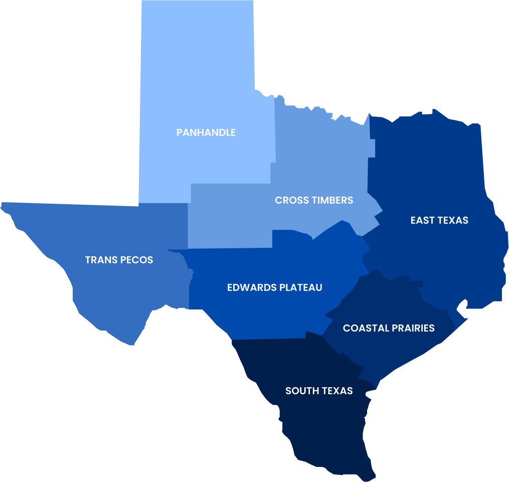 Texas Ranches for Sale