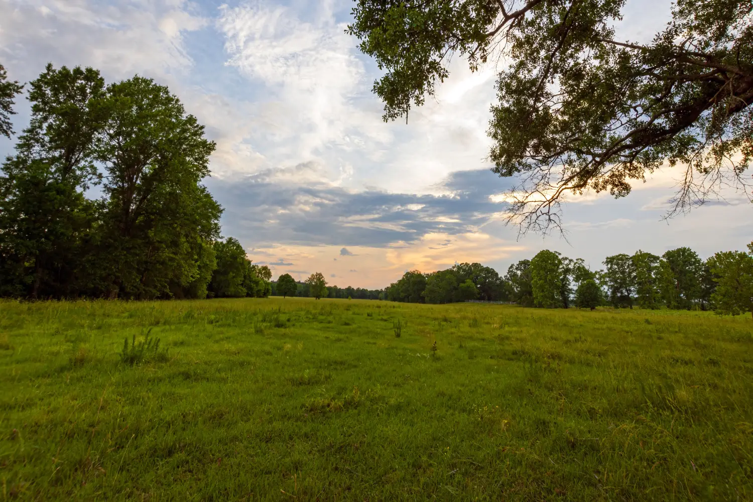 Buying Ranch Land in Texas
