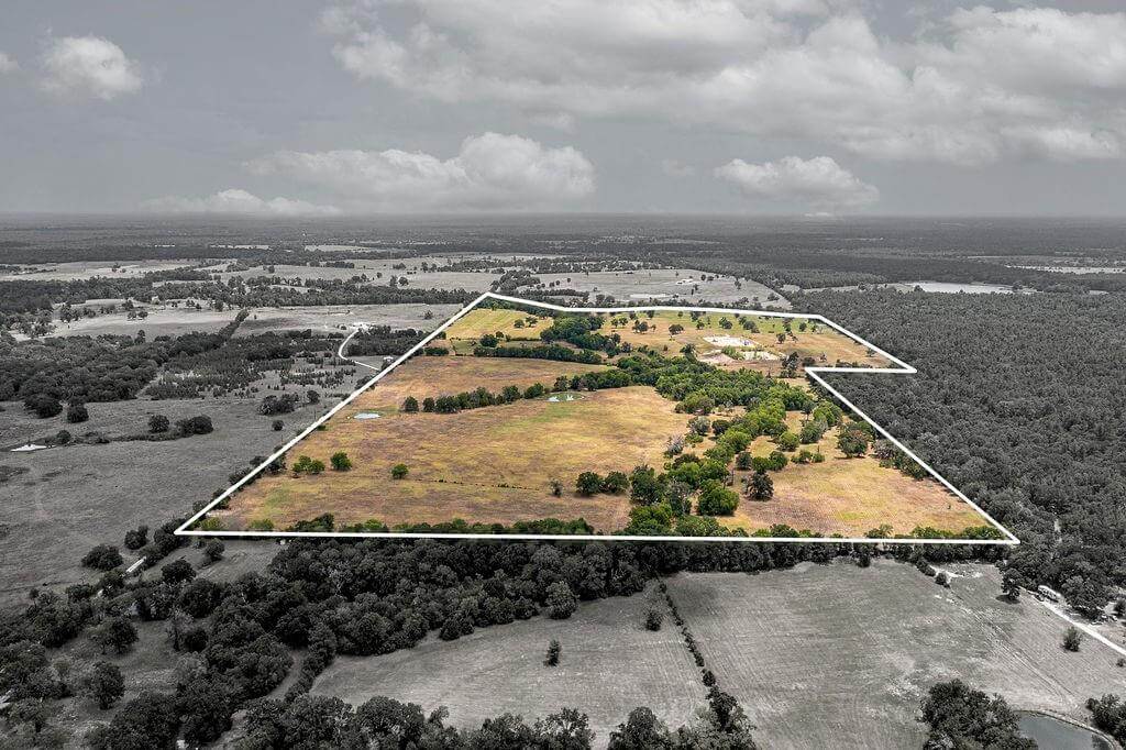 TBD FM 231, Lovelady, TX, 75851